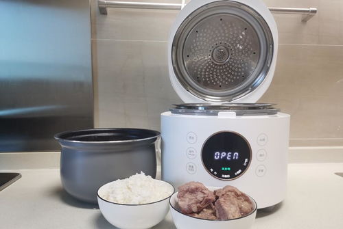 臻米再放大招 壓力鍋飯煲二合一，顏值與美味一次兼得